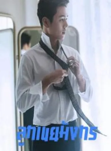 ลูกเขยมังกร  Royal Dragon Husband